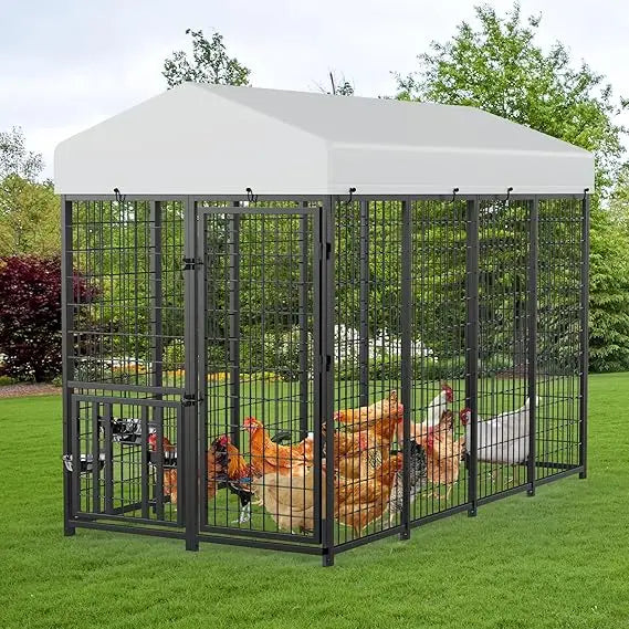 Large Metal Chicken Coop Walk In Fifteen Chickens 8x4x5.6