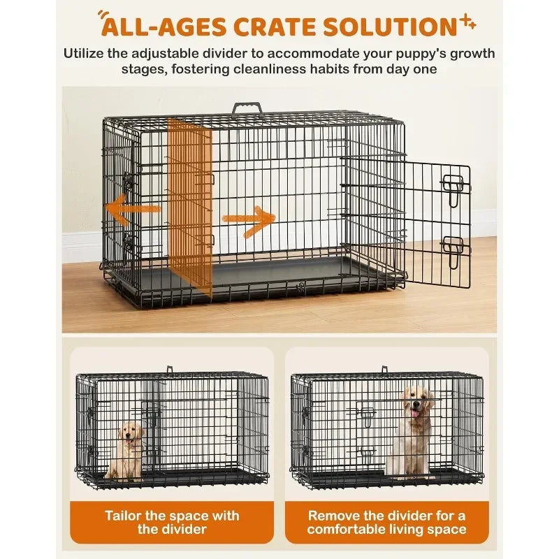 42 Inch Double Door Dog Crate With Dividers Foldable XL