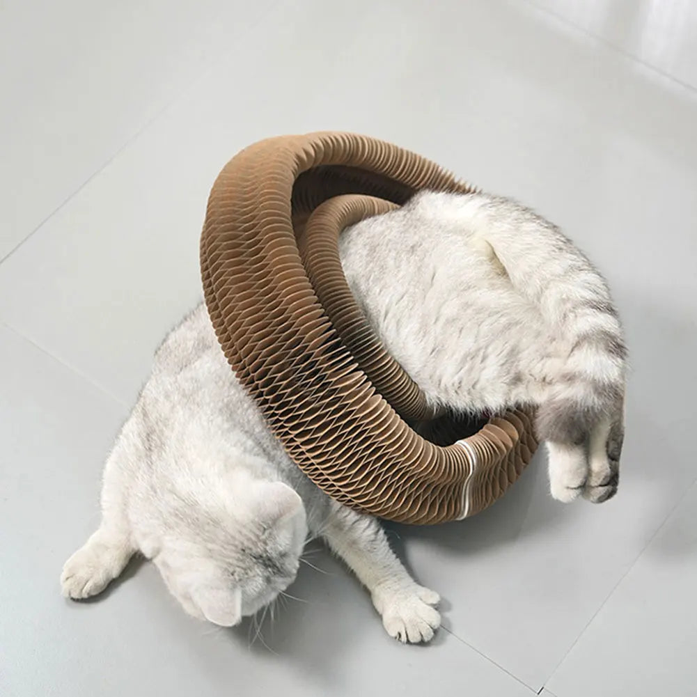 Magic Organ Cat Scratching Board Foldable Corrugated Toy