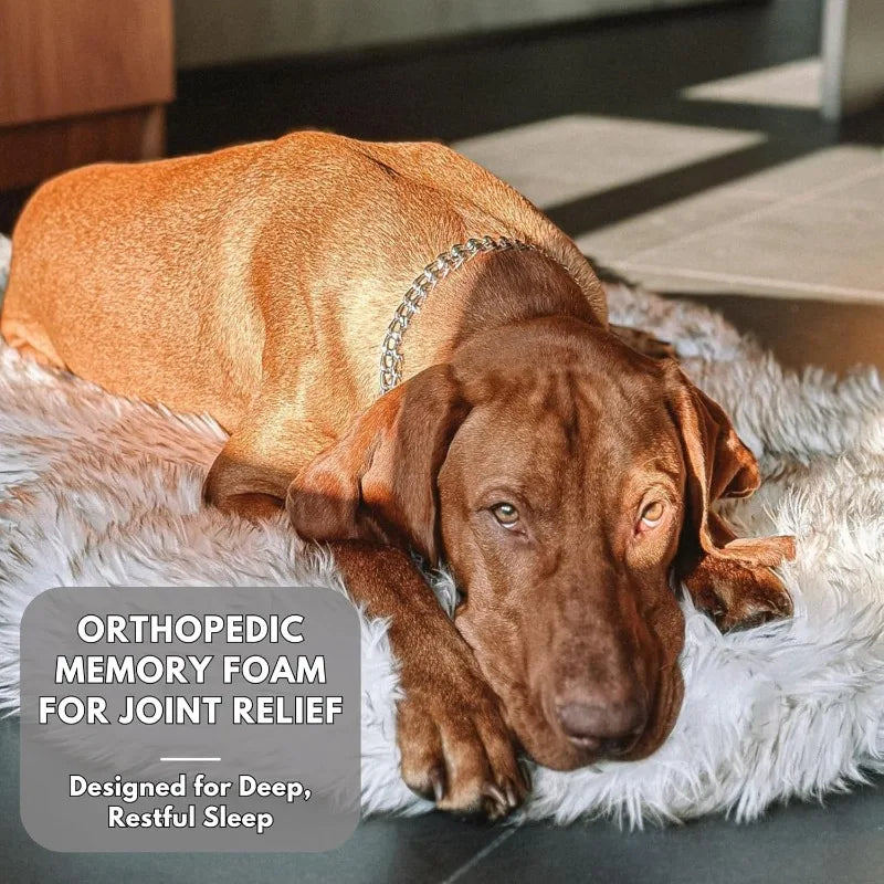 Luxury Faux Fur Orthopedic Dog Bed With Waterproof Cover