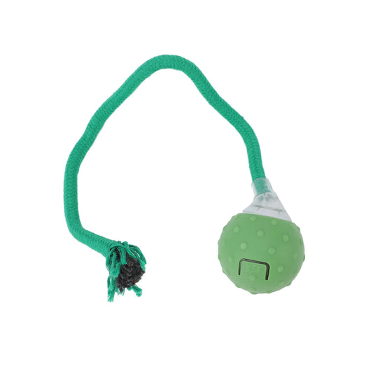 Motion Activated Moving Ball Interactive Cat Toy Indoor