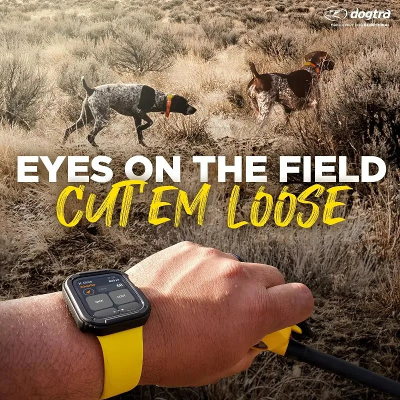 Dogtra Pathfinder 2 GPS E Collar Training Collar Remote